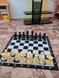 Напольные шахматы